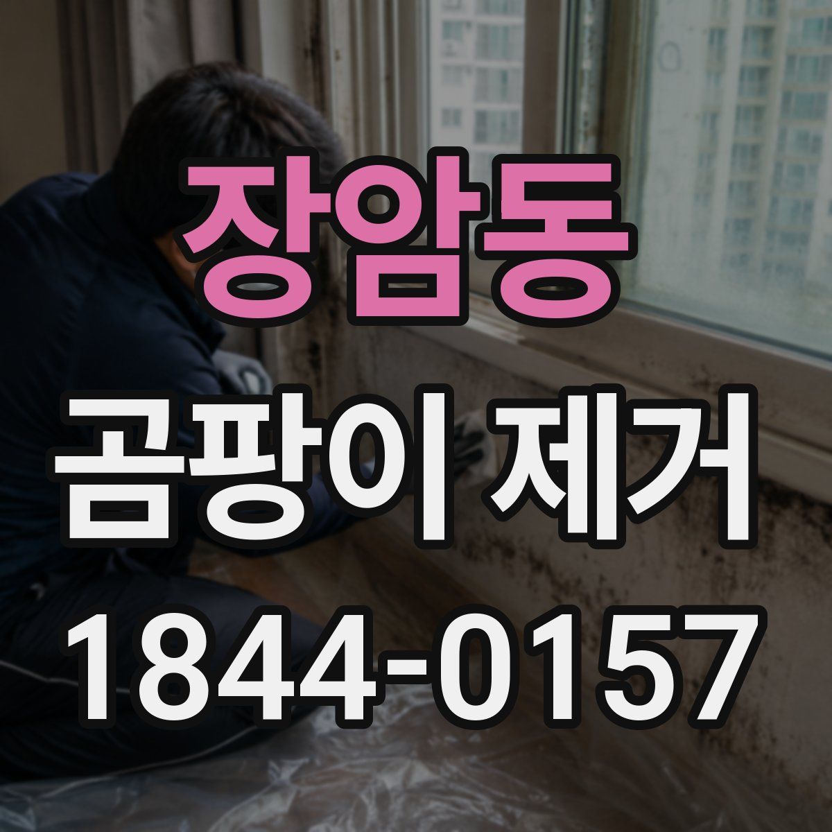 장암동 곰팡이 제거