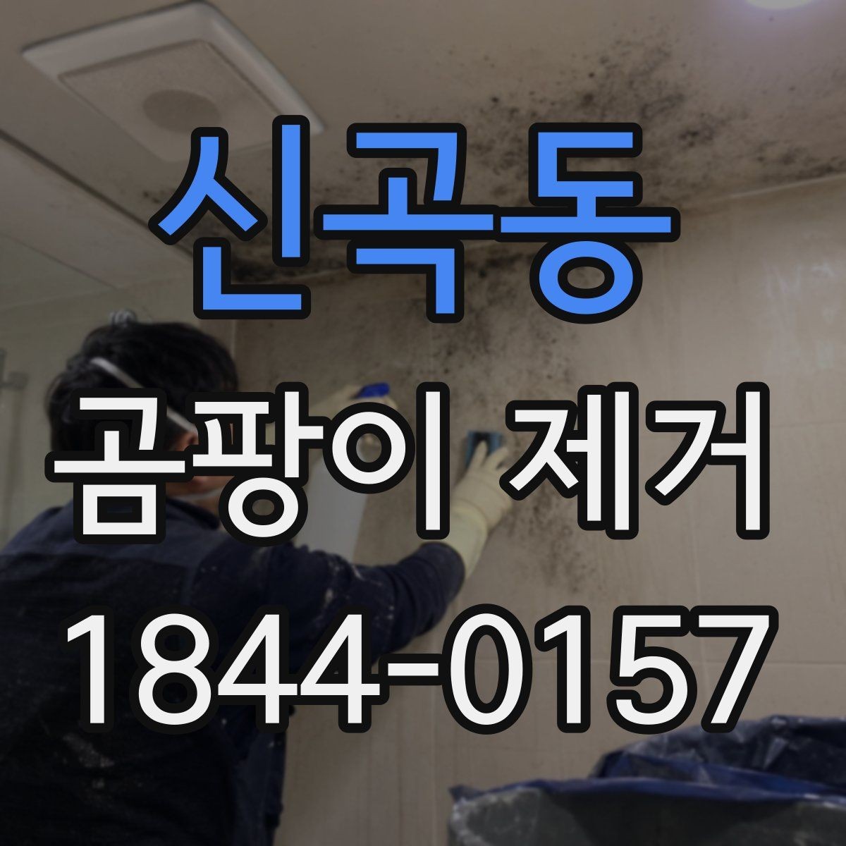 신곡동 곰팡이 제거 냄새가 다시 올라올 때 점검할 부분