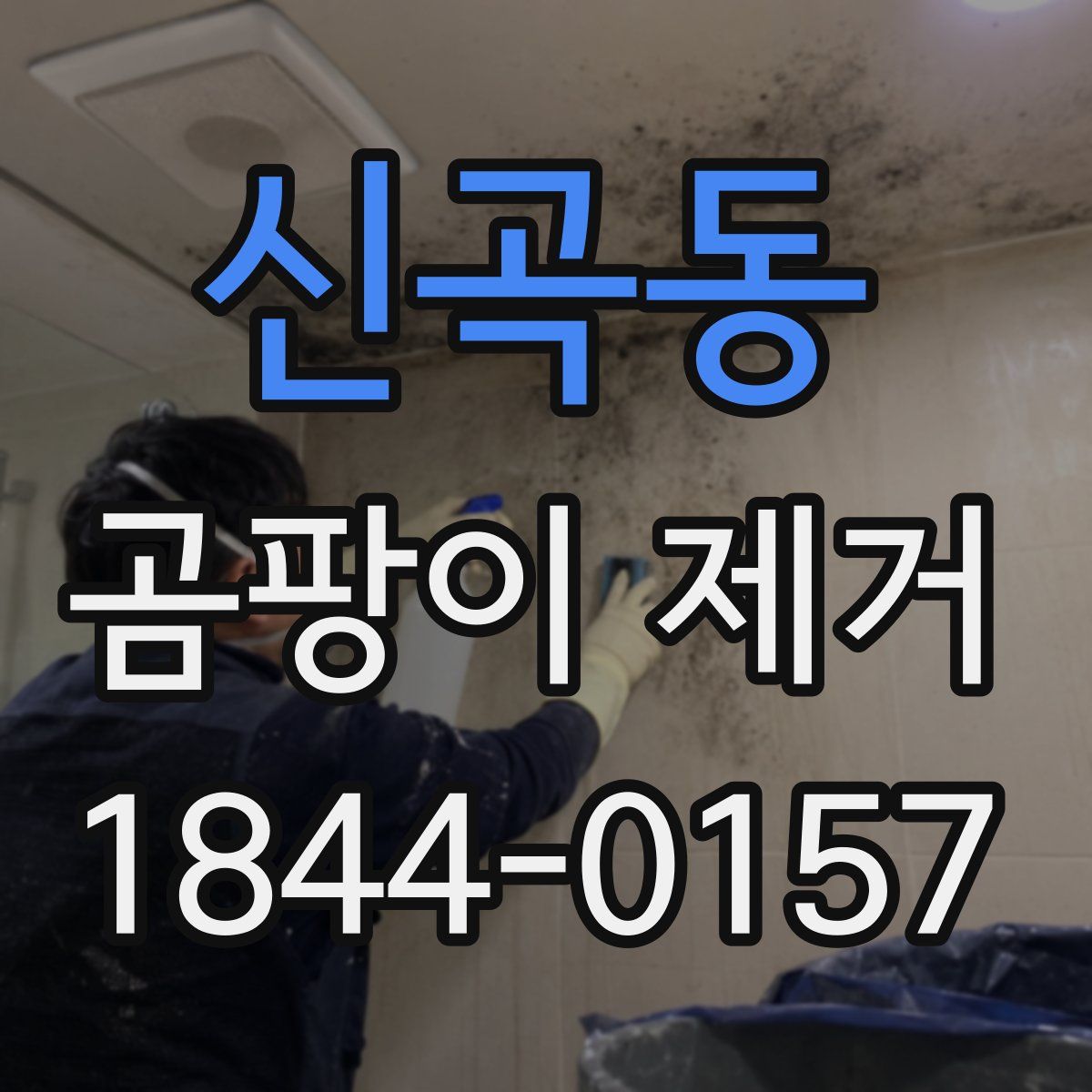 신곡동 곰팡이 제거