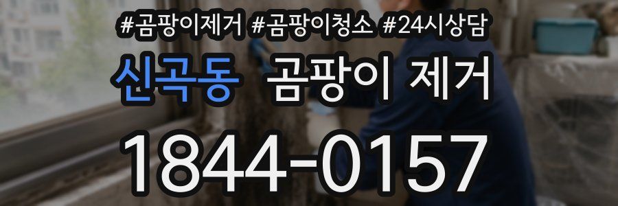 신곡동 곰팡이 제거