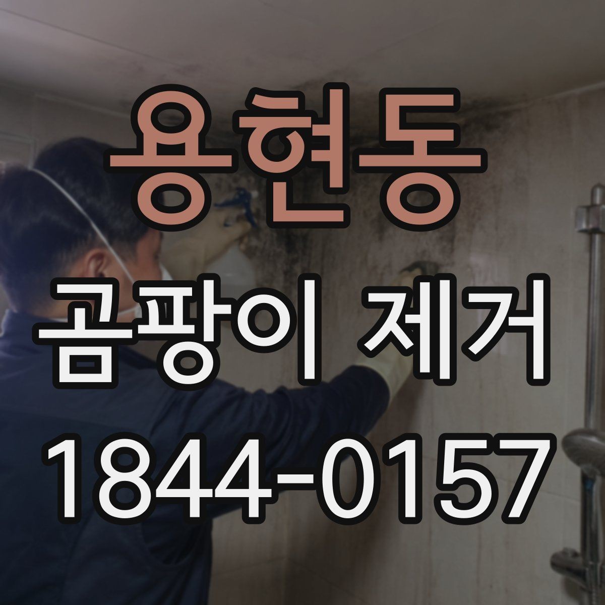 용현동 곰팡이 제거 장농 속 습기부터 점검하는 이유