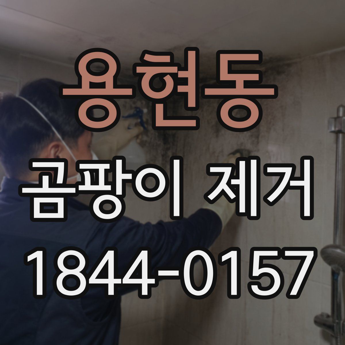 용현동 곰팡이 제거