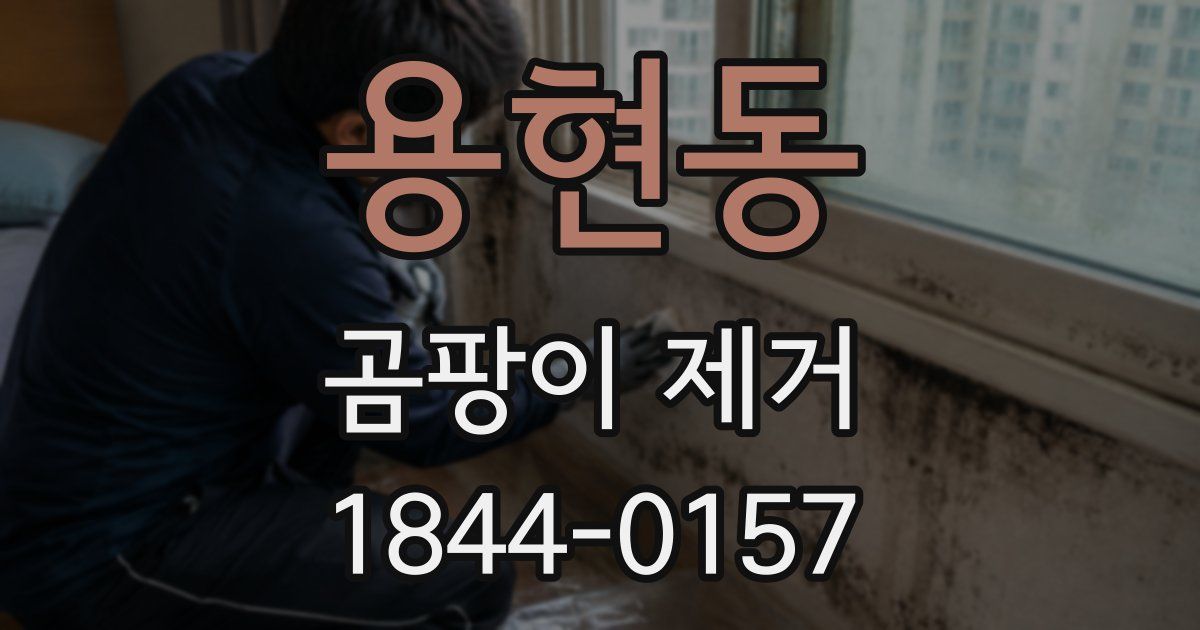용현동 곰팡이 제거