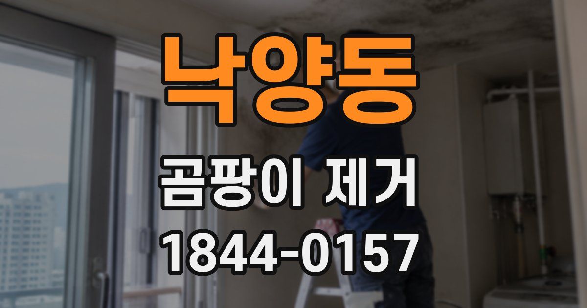 낙양동 곰팡이 제거