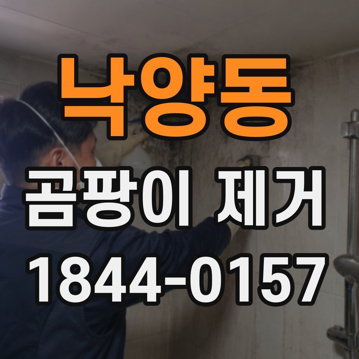 낙양동 곰팡이 제거