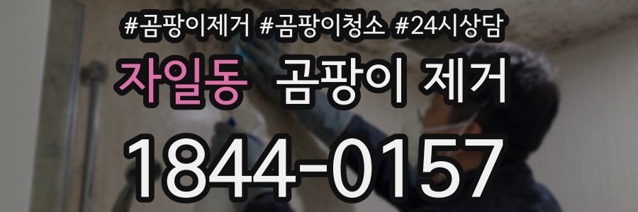 자일동 곰팡이 제거
