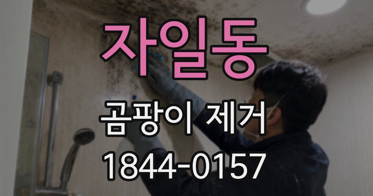 자일동 곰팡이 제거