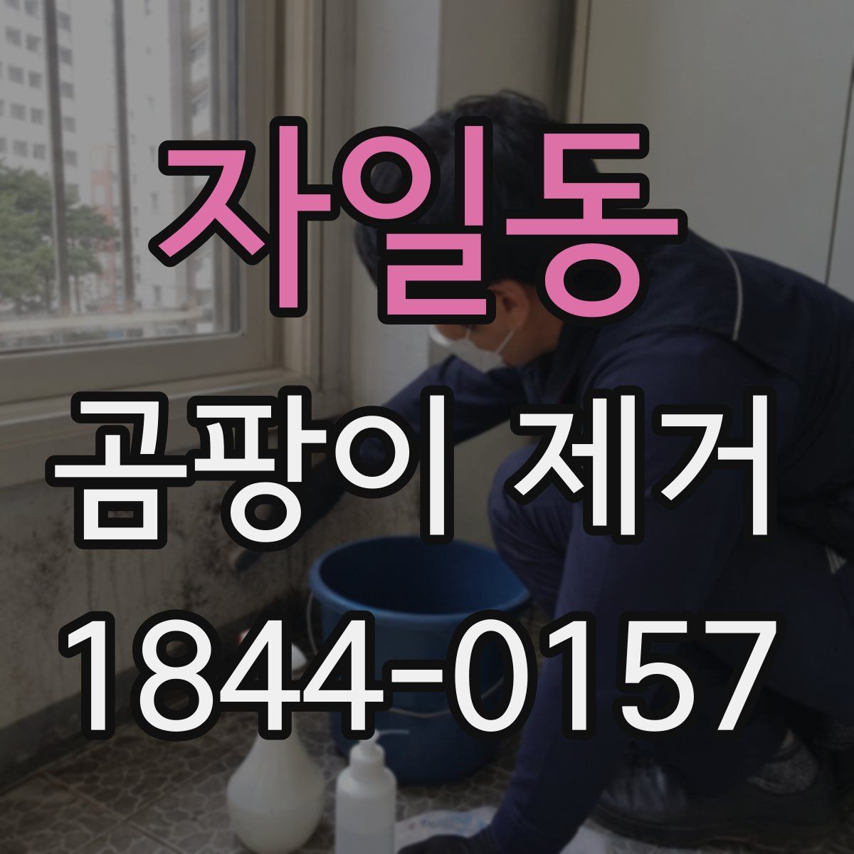 자일동 곰팡이 제거