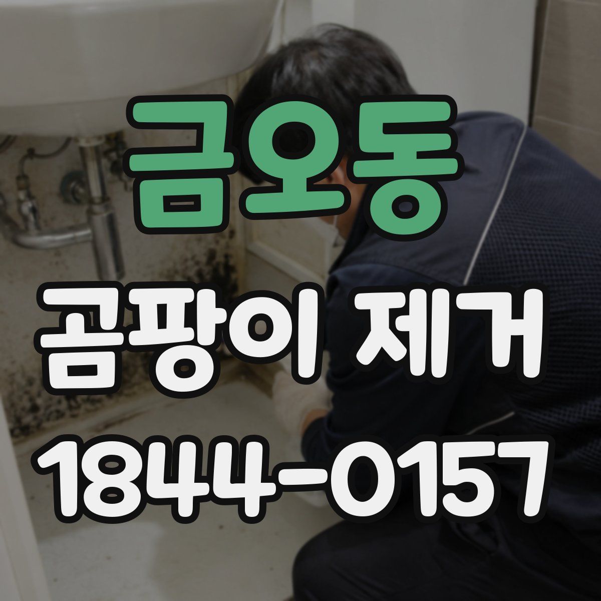 금오동 곰팡이 제거