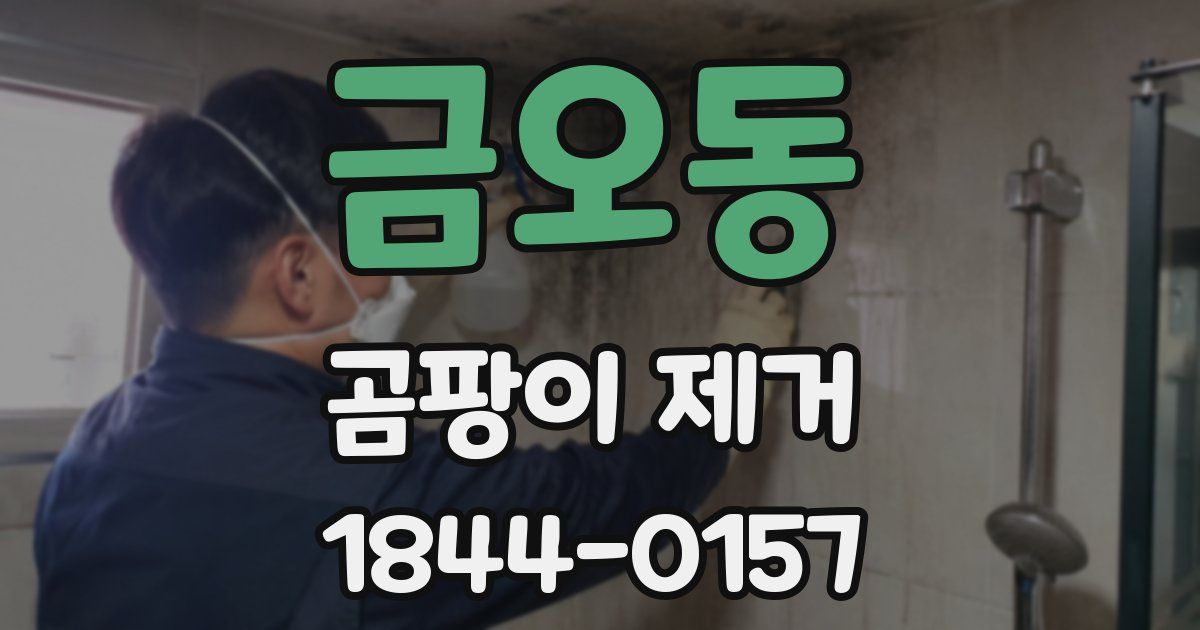 금오동 곰팡이 제거