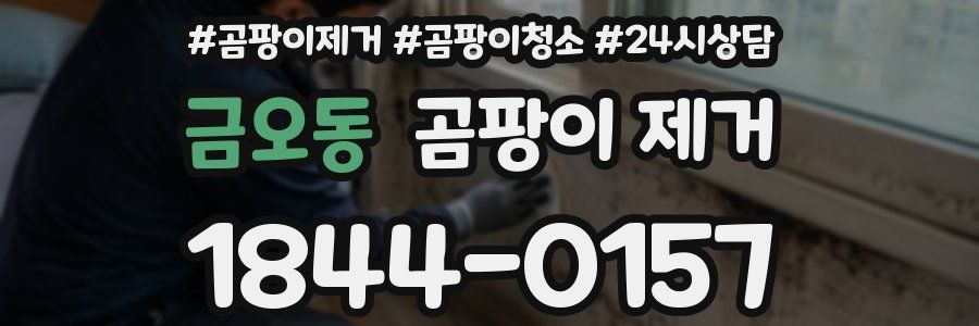 금오동 곰팡이 제거