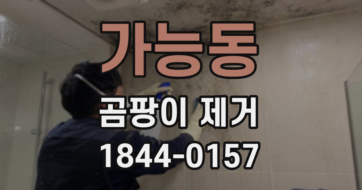 가능동 곰팡이 제거