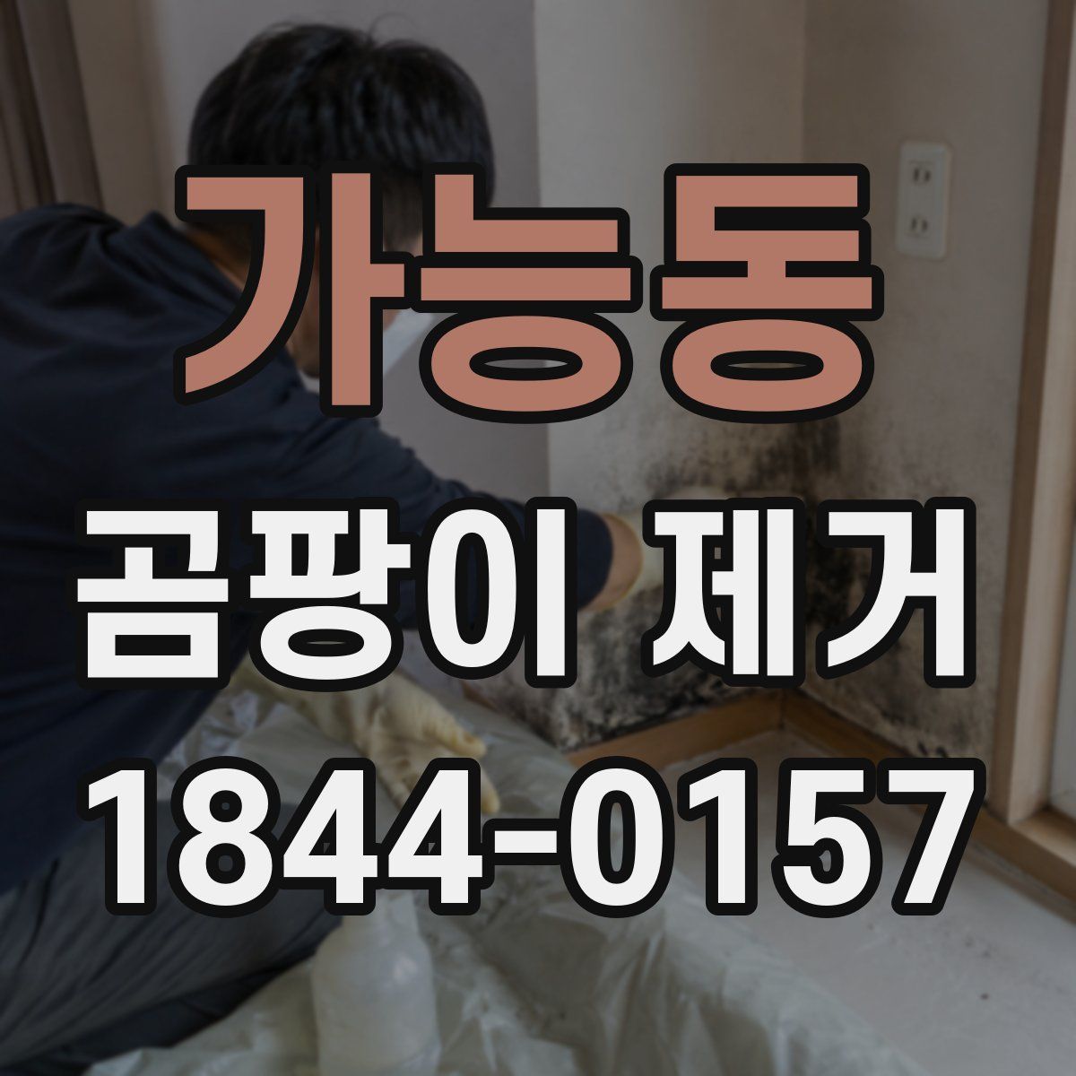 가능동 곰팡이 제거
