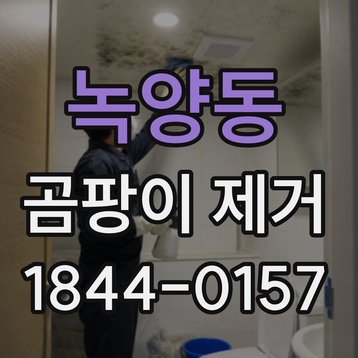 녹양동 곰팡이 제거