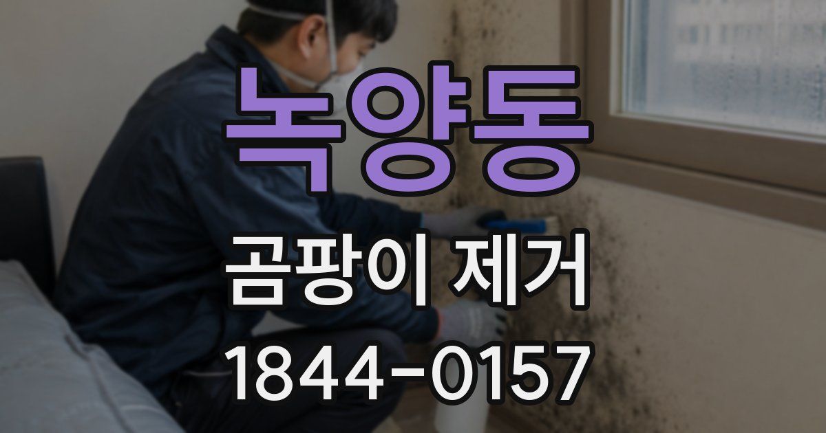 녹양동 곰팡이 제거