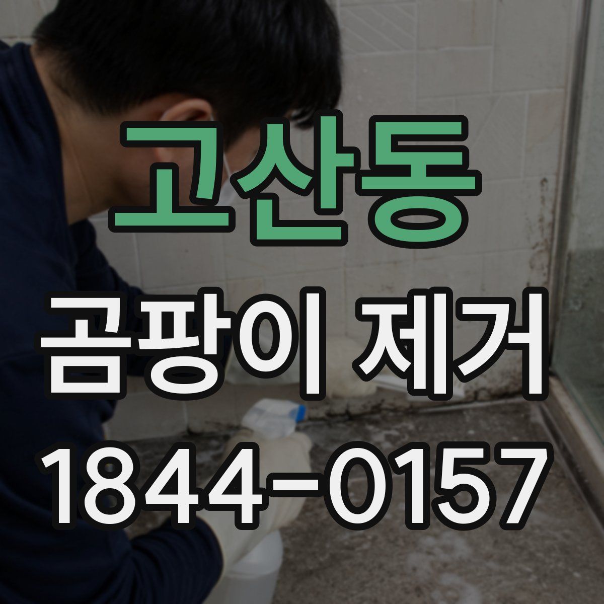고산동 곰팡이 제거