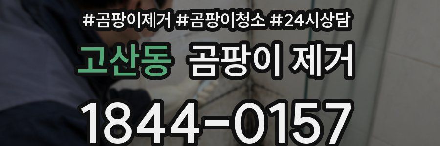 고산동 곰팡이 제거