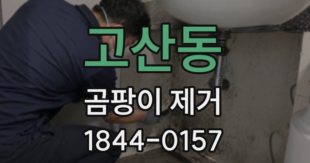 고산동 곰팡이 제거