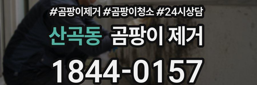 산곡동 곰팡이 제거