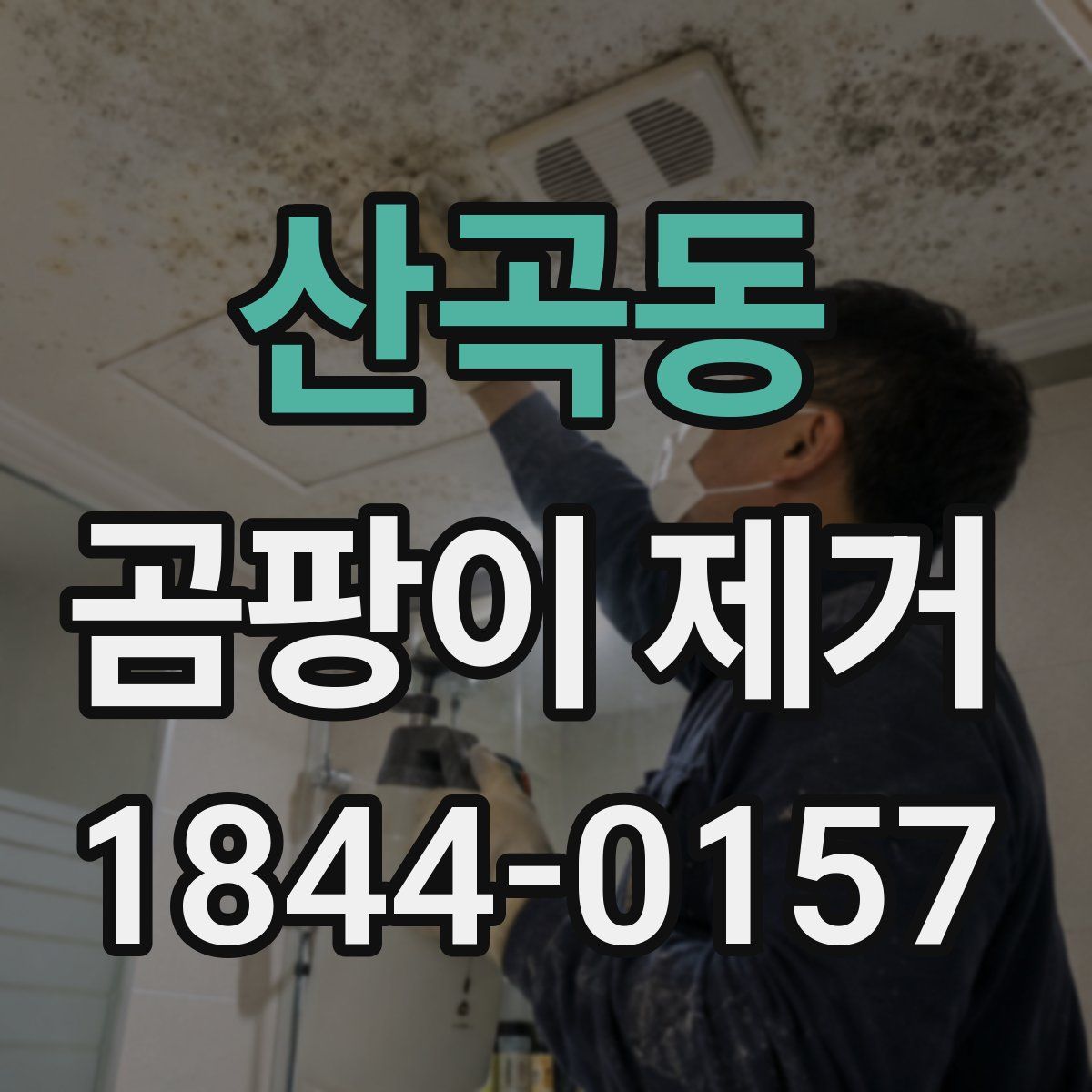 산곡동 곰팡이 제거