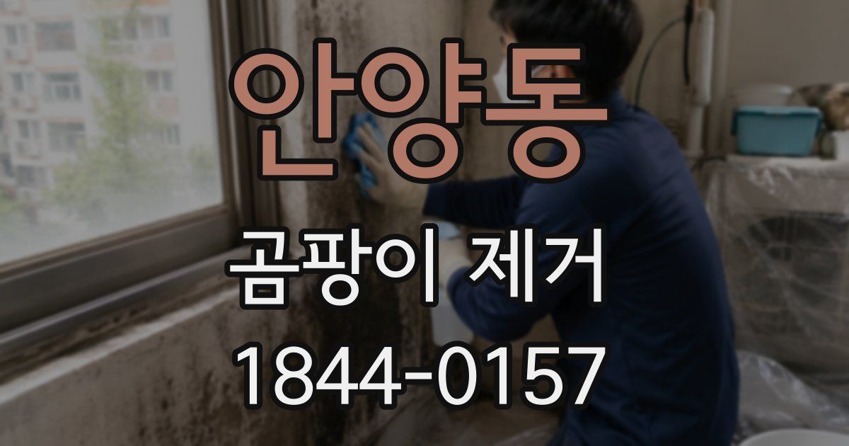 안양동 곰팡이 제거