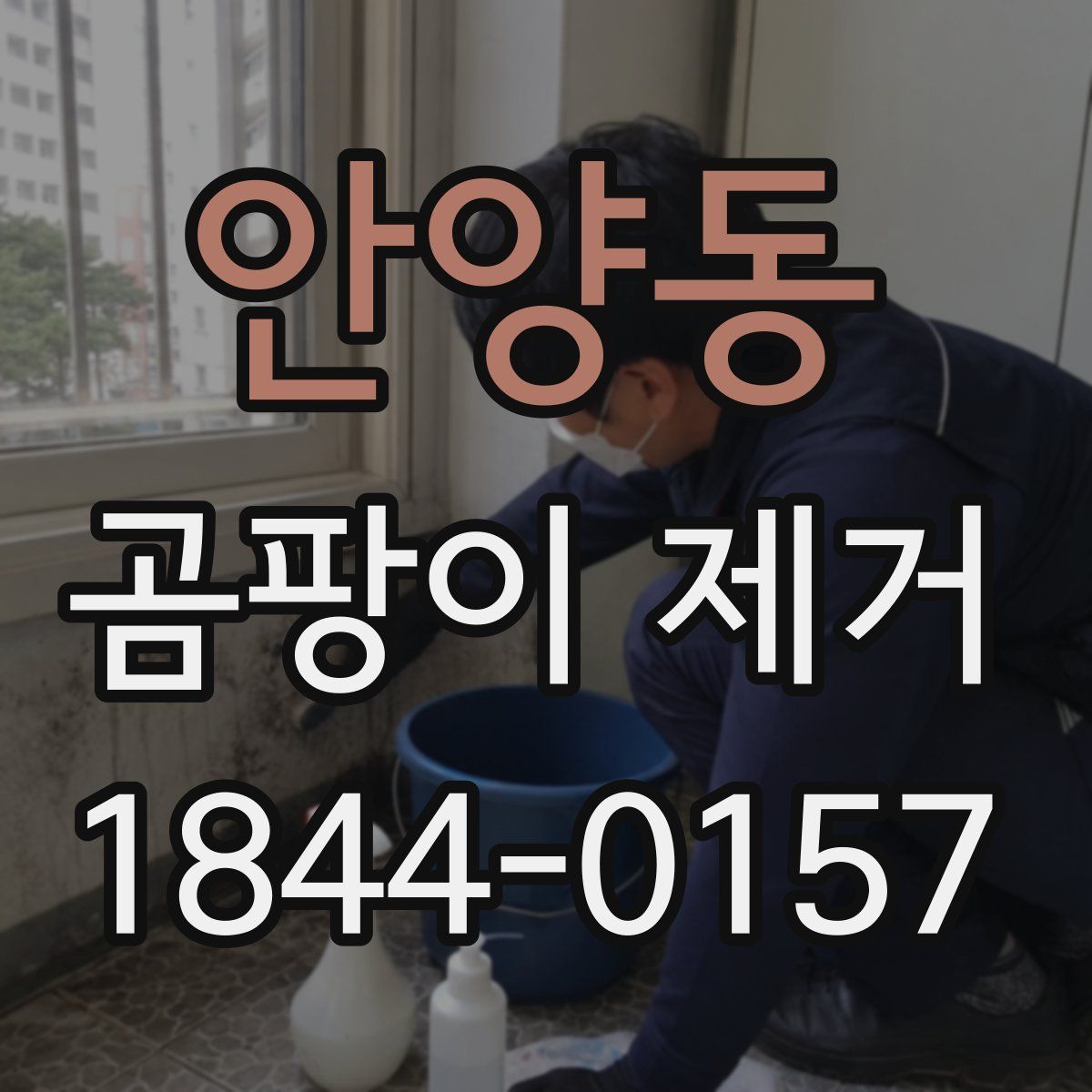 안양동 곰팡이 제거