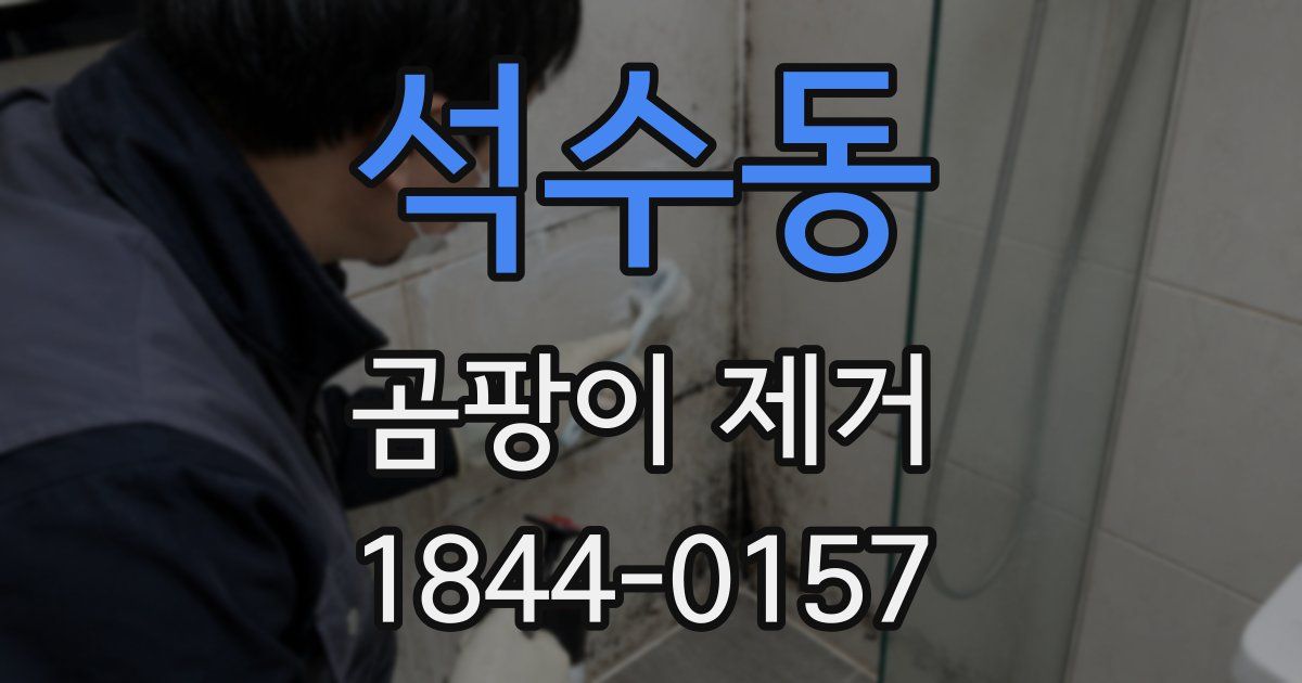 석수동 곰팡이 제거
