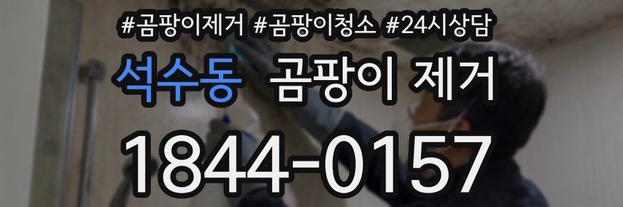 석수동 곰팡이 제거