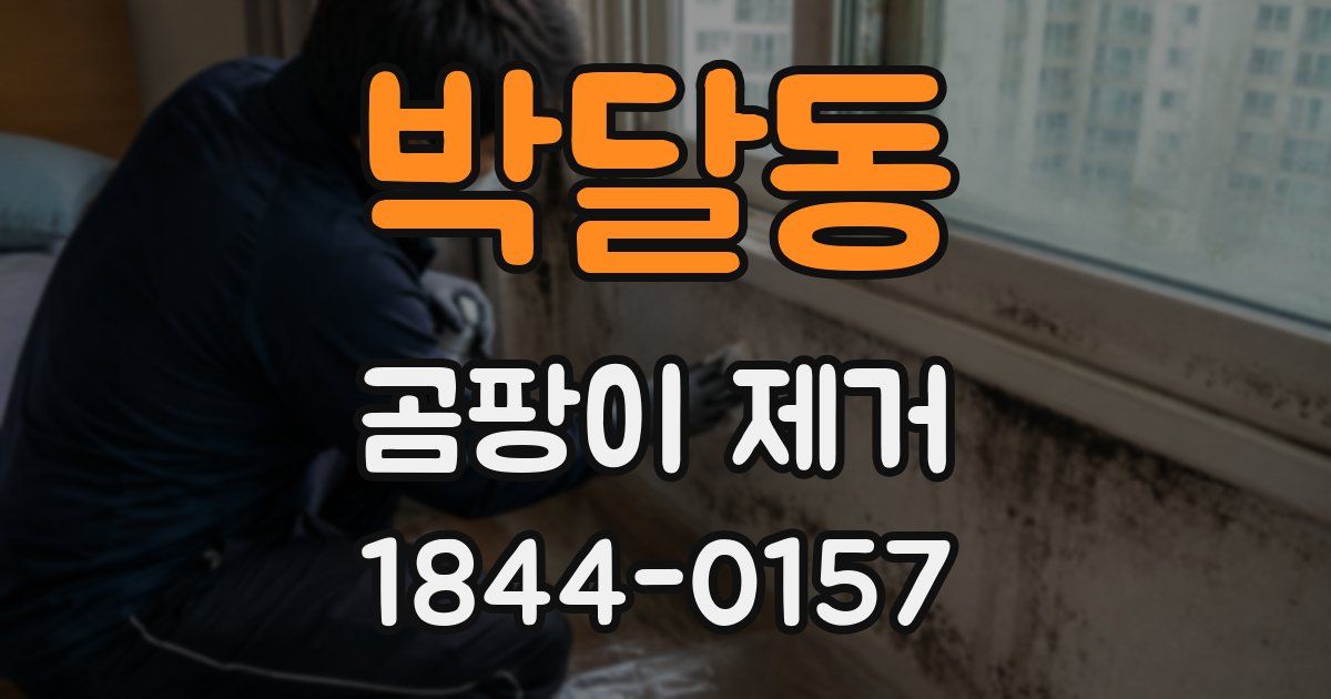 박달동 곰팡이 제거