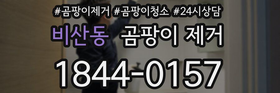 비산동 곰팡이 제거