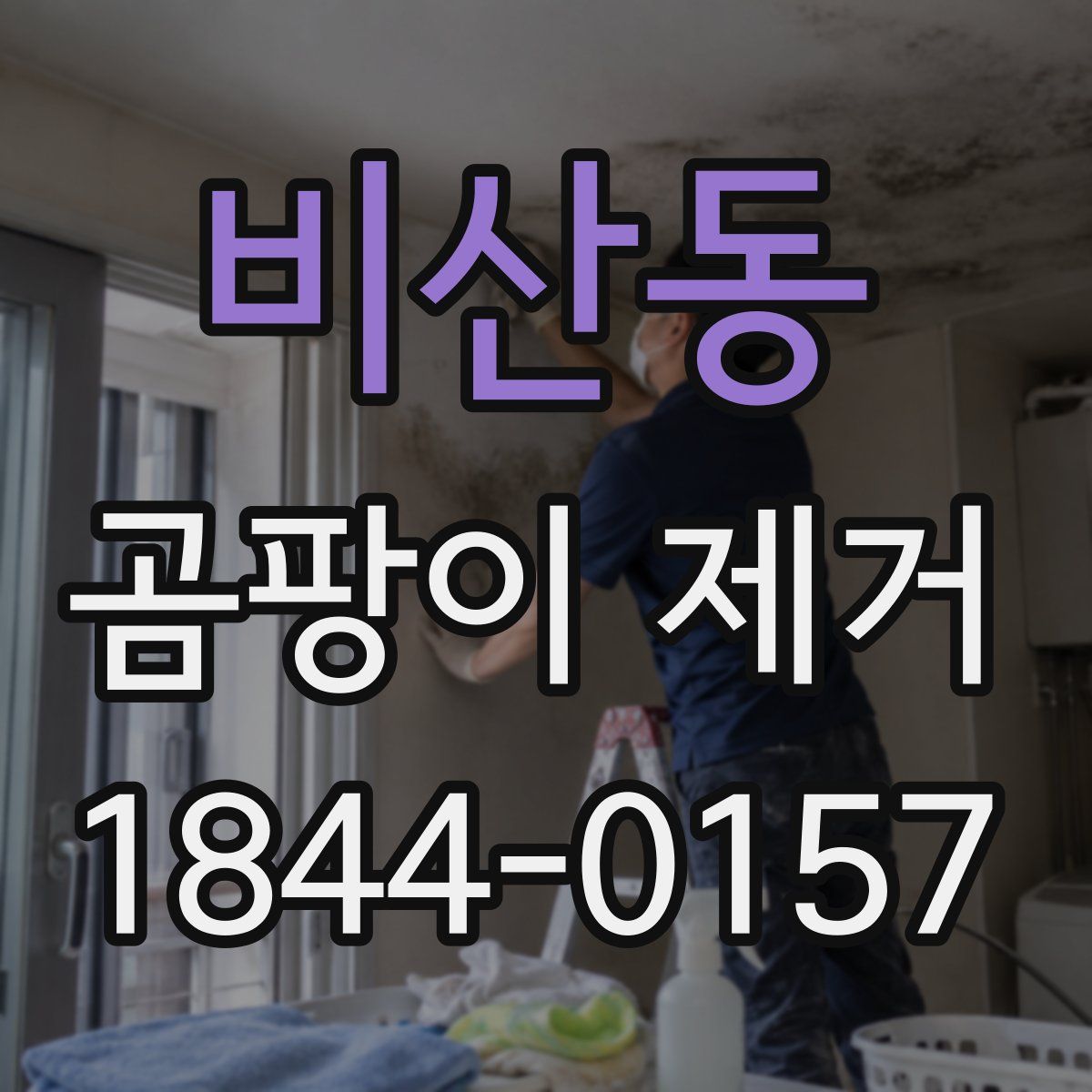 비산동 곰팡이 제거