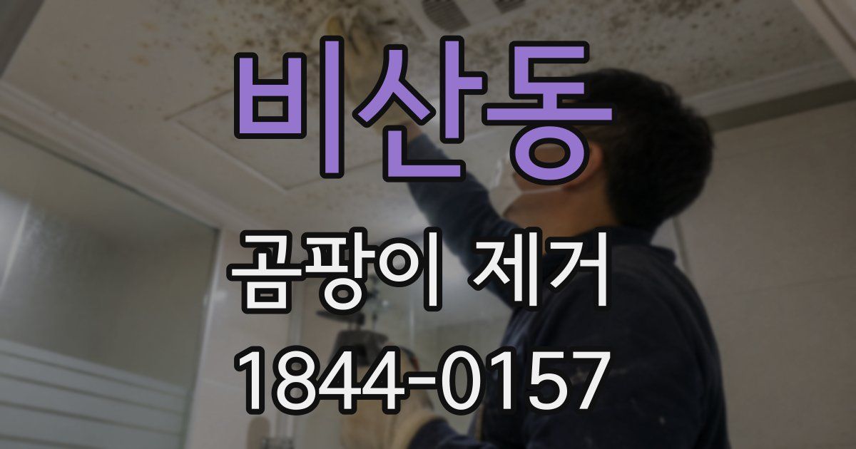 비산동 곰팡이 제거