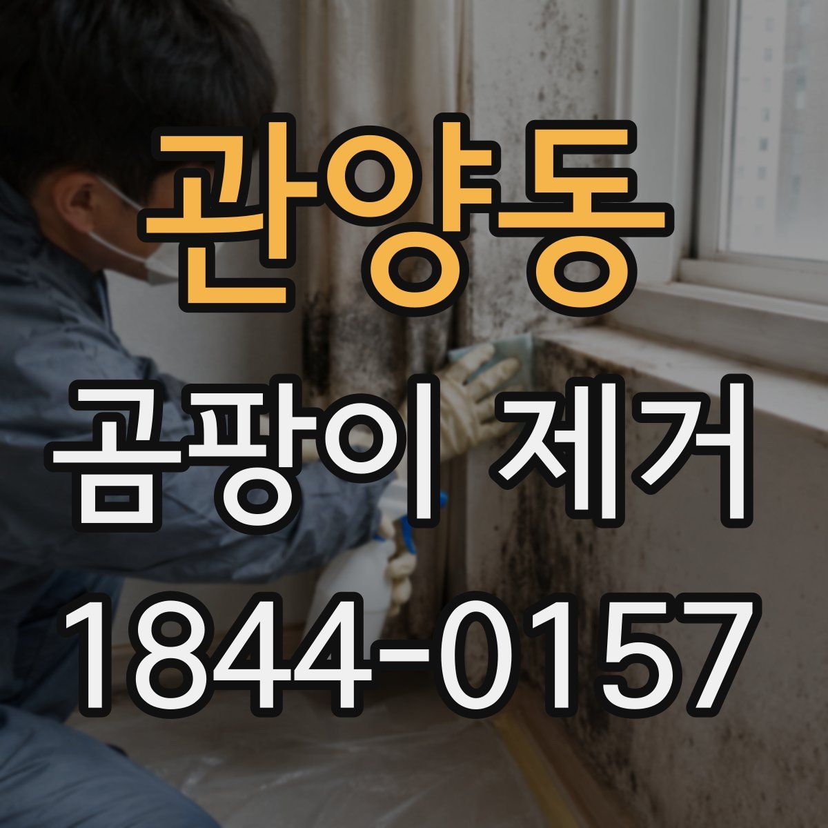 관양동 곰팡이 제거