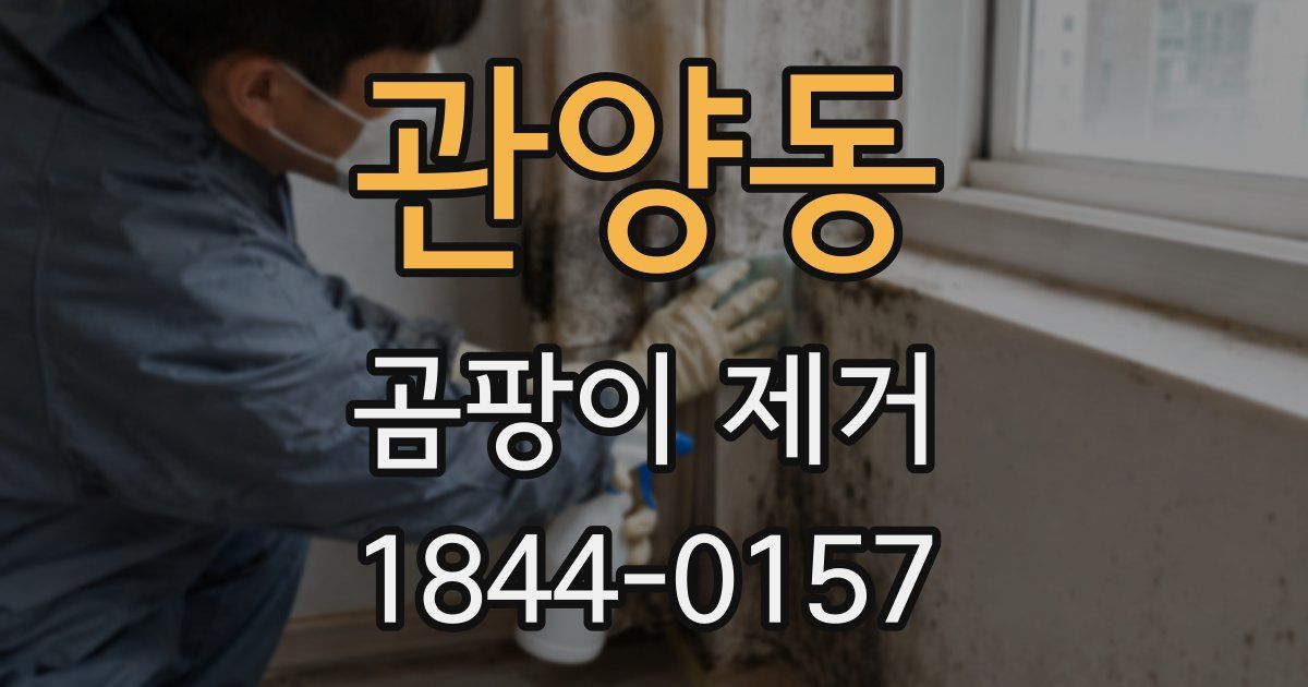 관양동 곰팡이 제거