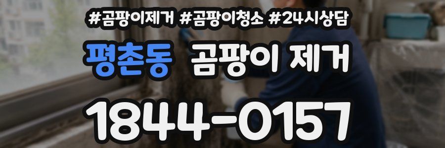 평촌동 곰팡이 제거