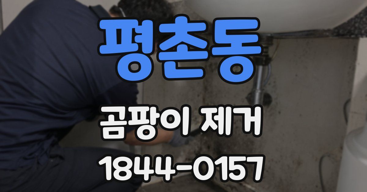 평촌동 곰팡이 제거