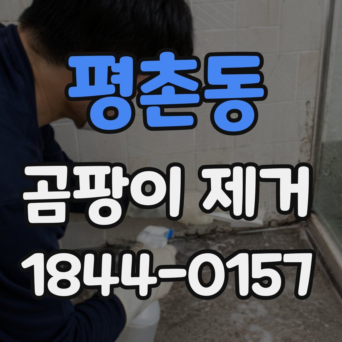 평촌동 곰팡이 제거