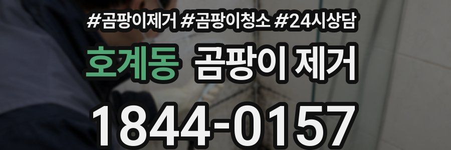호계동 곰팡이 제거