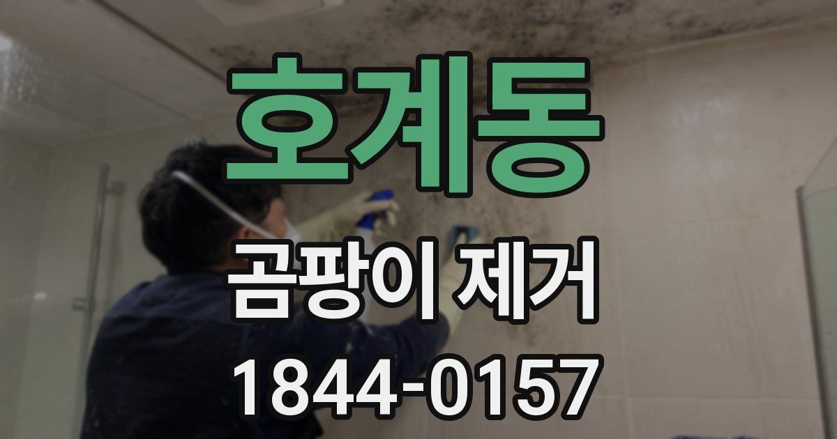 호계동 곰팡이 제거