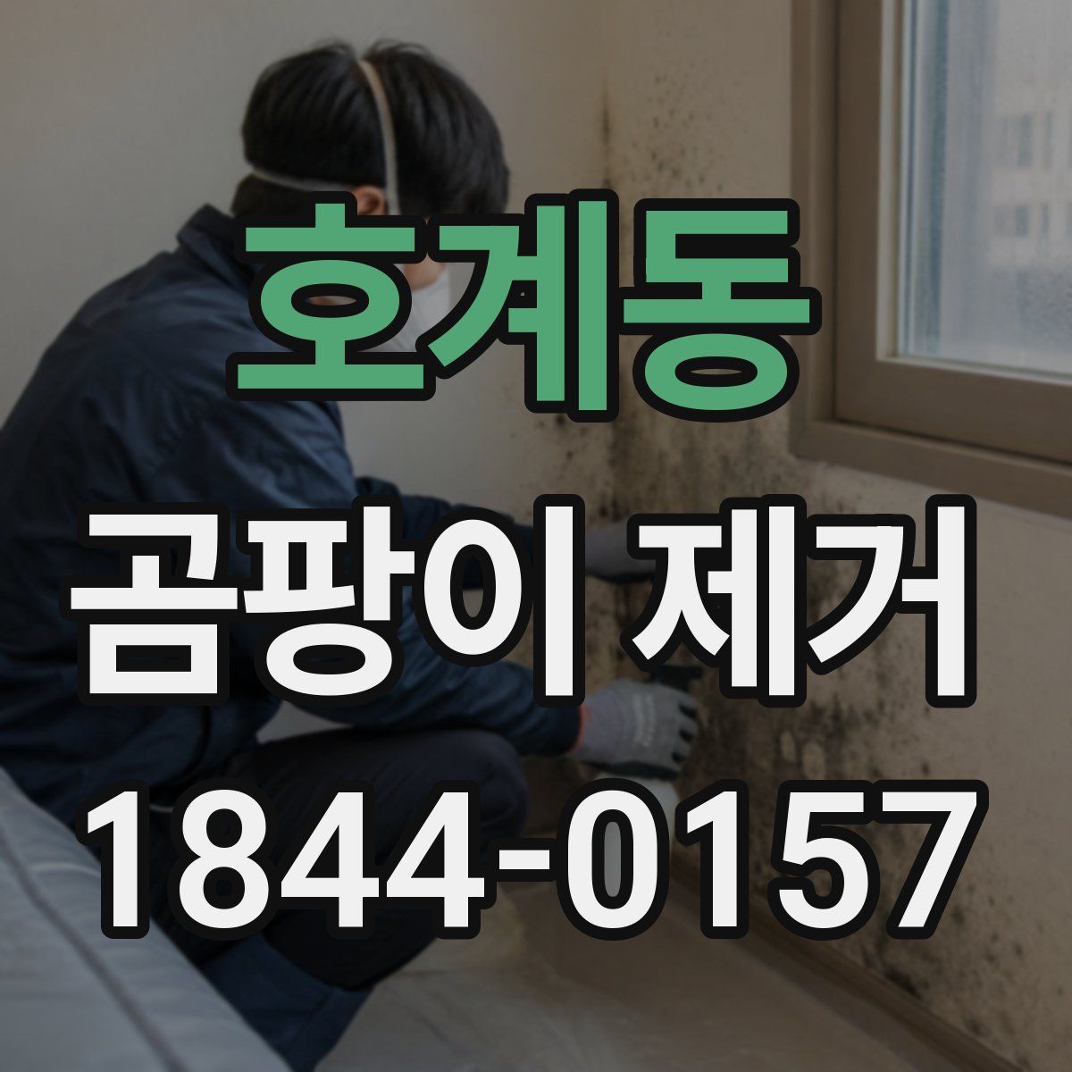 호계동 곰팡이 제거