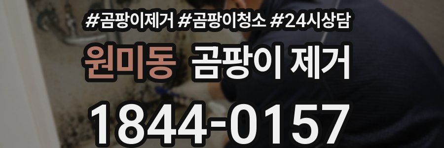 원미동 곰팡이 제거