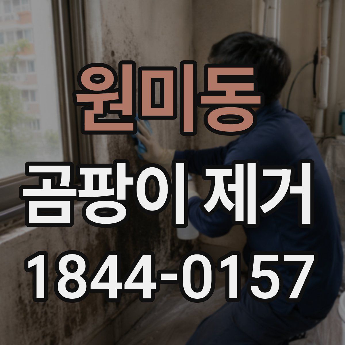 원미동 곰팡이 제거