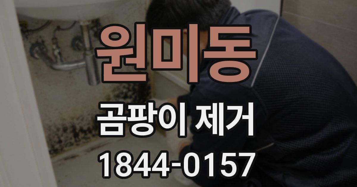 원미동 곰팡이 제거