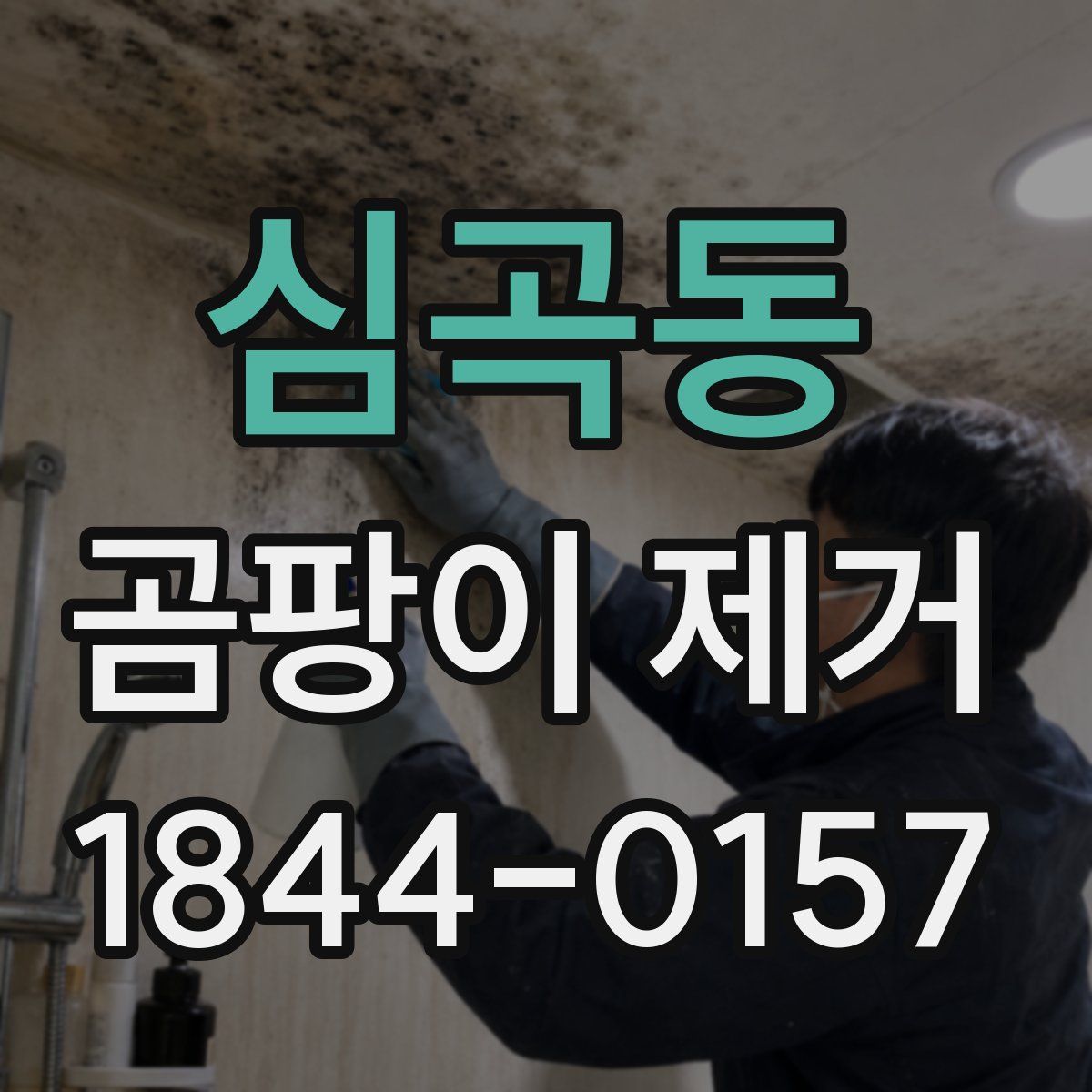 심곡동 곰팡이 제거
