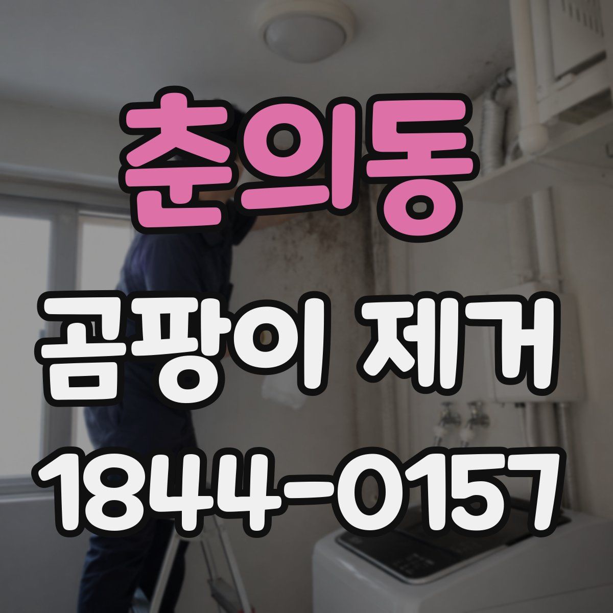 춘의동 곰팡이 제거