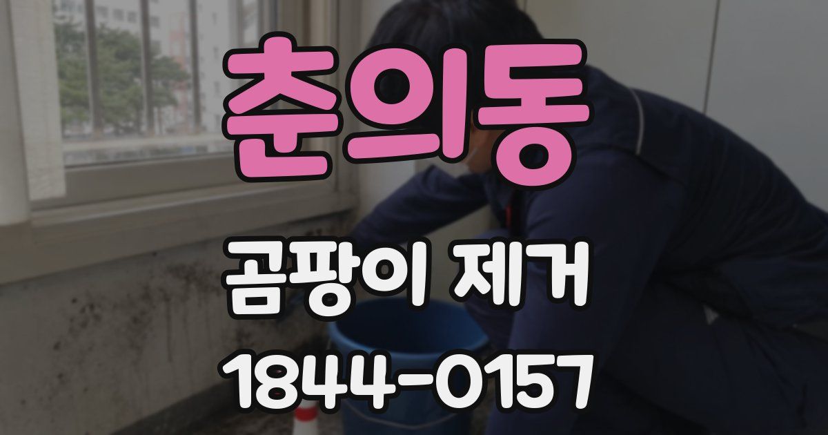 춘의동 곰팡이 제거
