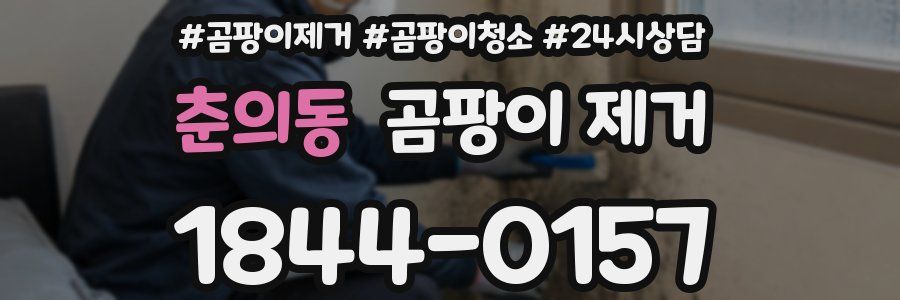 춘의동 곰팡이 제거