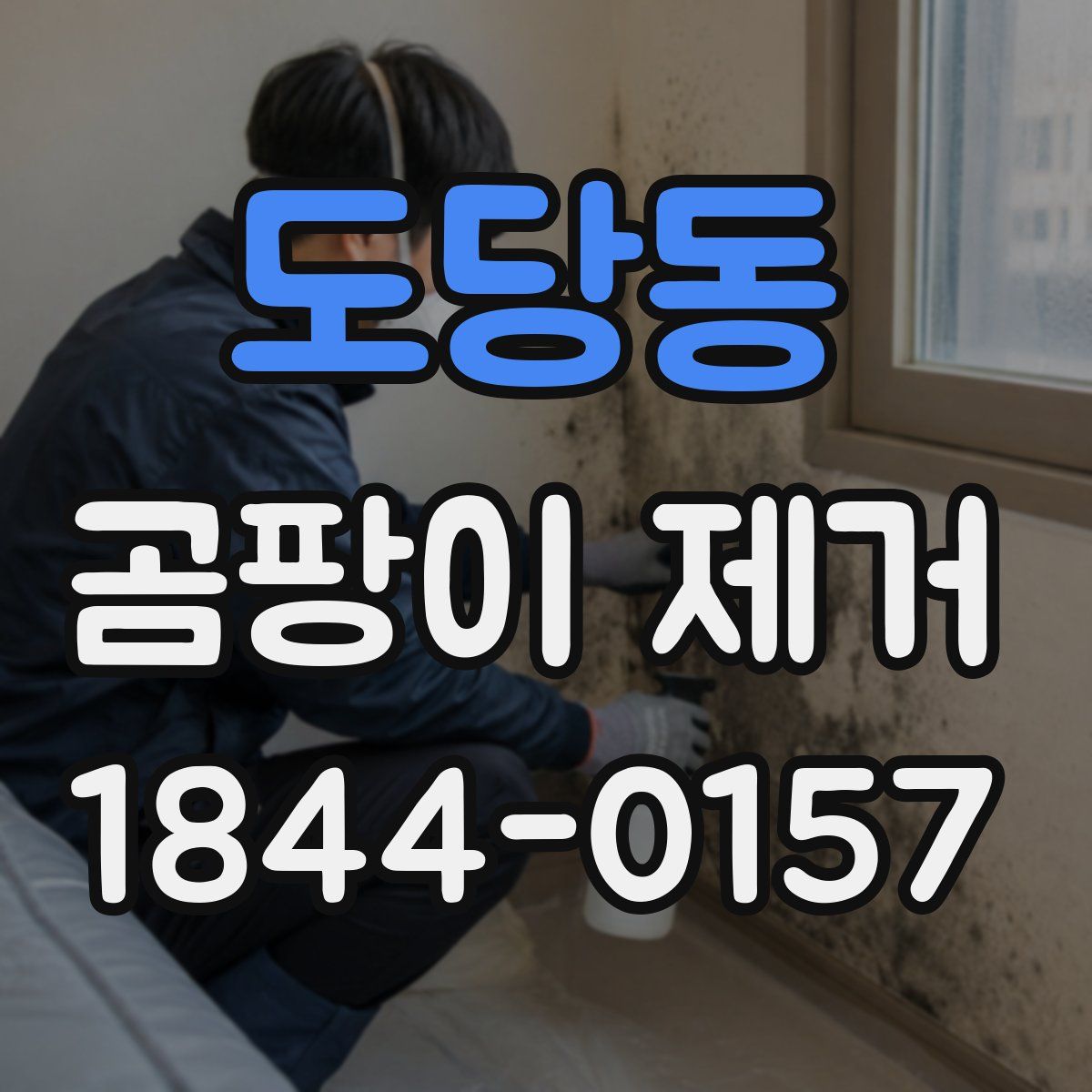도당동 곰팡이 제거