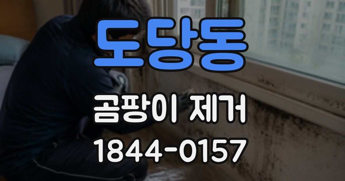도당동 곰팡이 제거