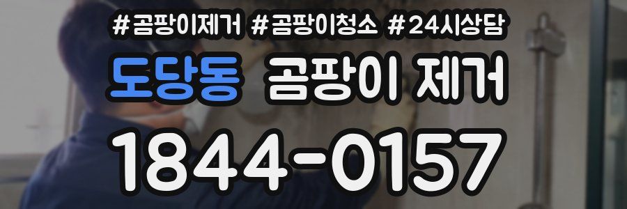 도당동 곰팡이 제거